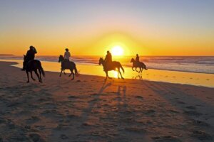 Essaouira Horse Riding Tours and Experiences