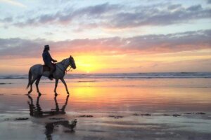 essaouira riding